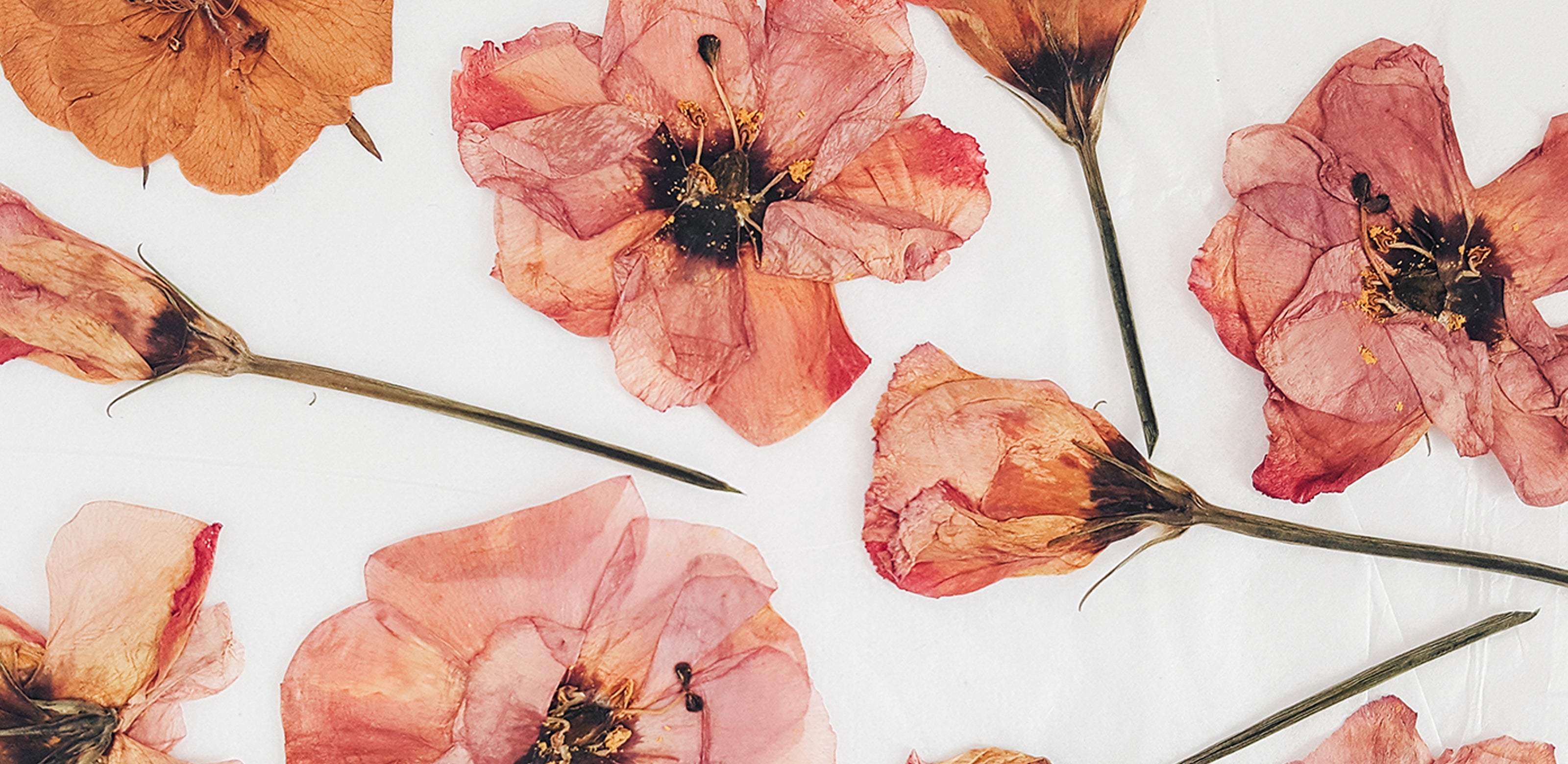 In Conversation With: Jennifer Darr