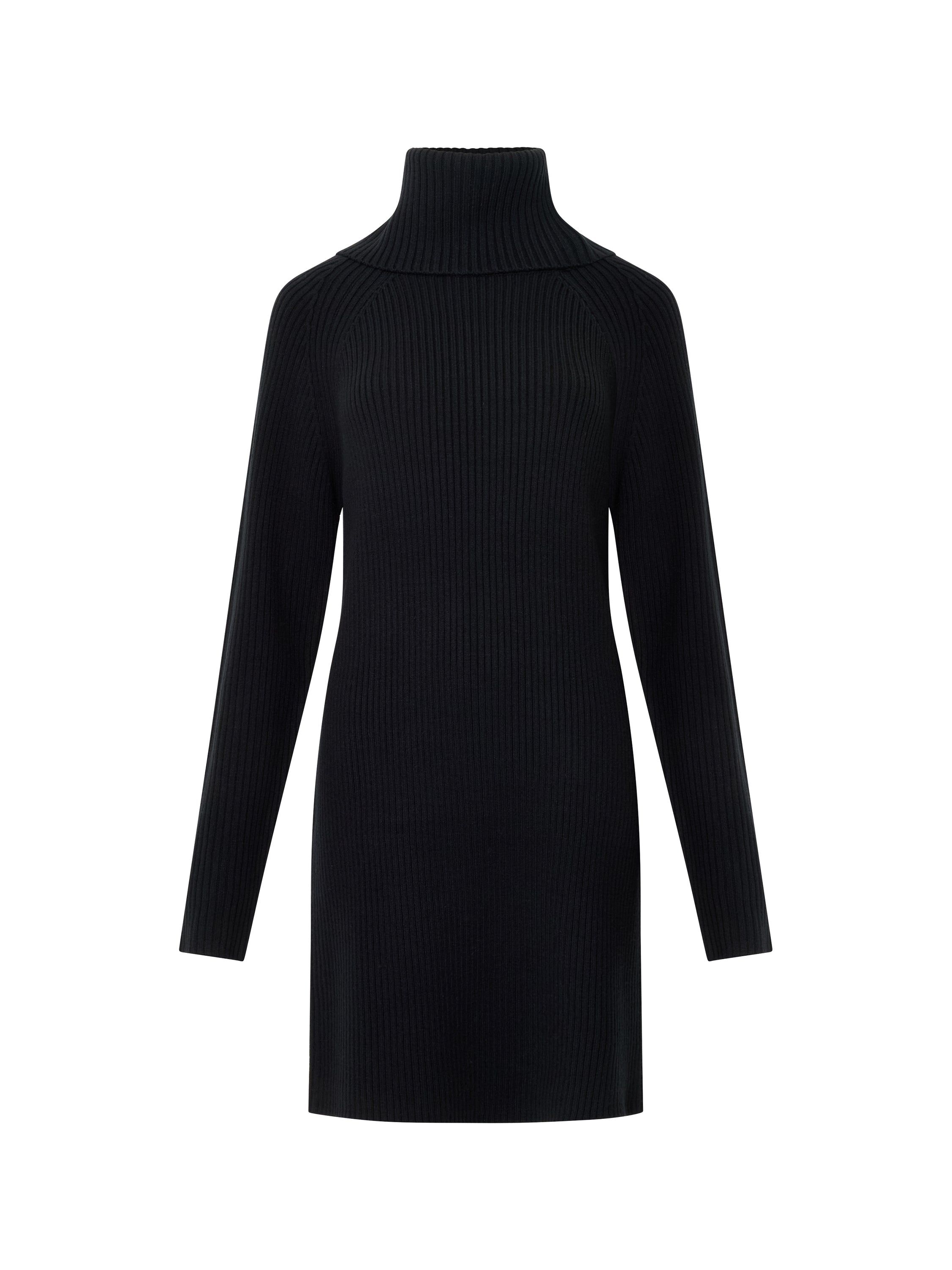 Babysoft Roll Neck Ribbed Knit Dress