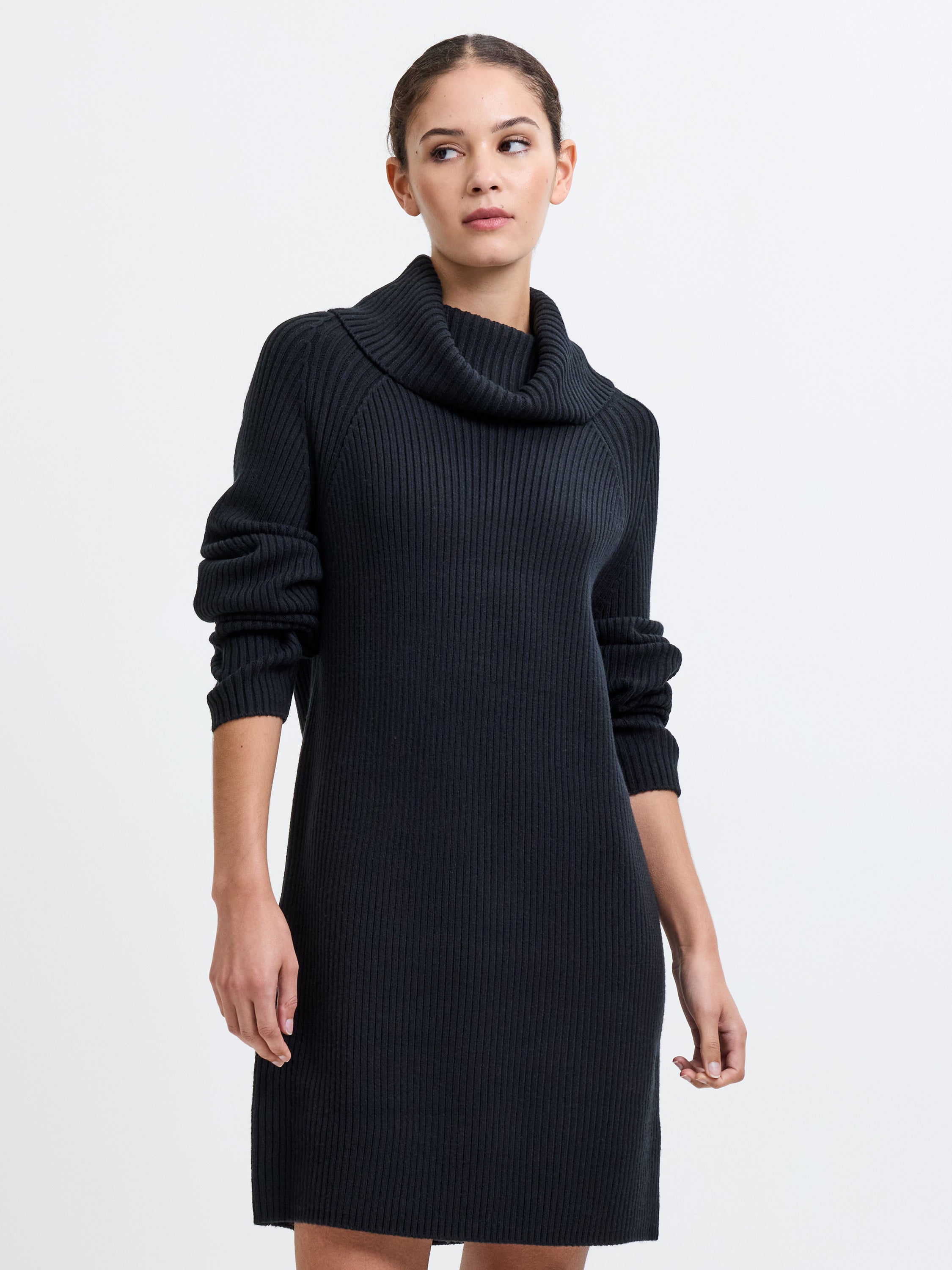 Babysoft Roll Neck Ribbed Knit Dress