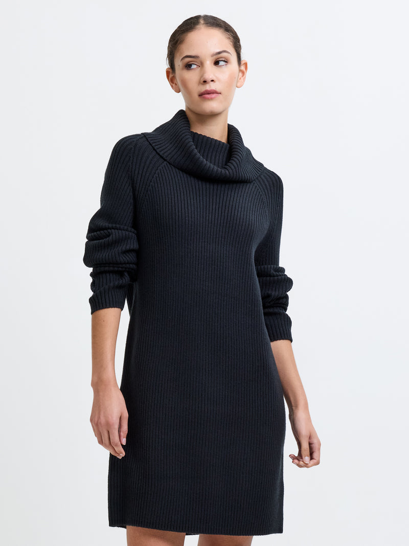 Babysoft Roll Neck Ribbed Knit Dress