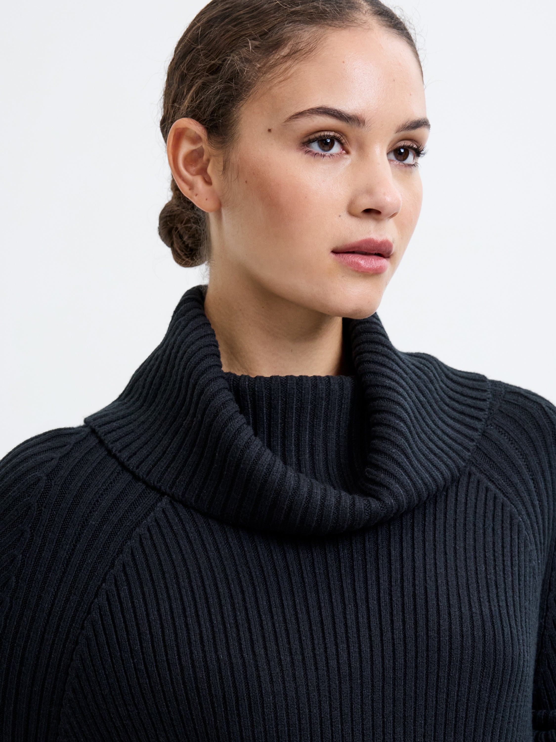 Babysoft Roll Neck Ribbed Knit Dress