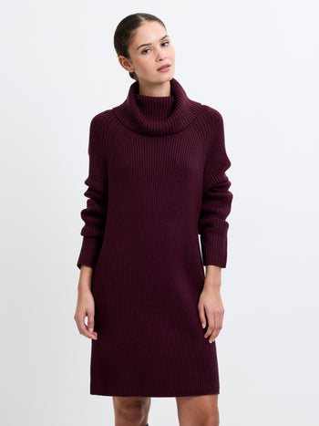 Babysoft Roll Neck Ribbed Knit Dress